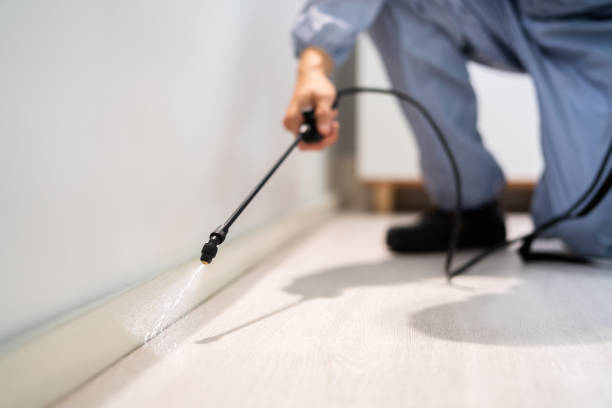 Licensed Cockroach Control service in Woodbury County County, IA - Nex Pest Control